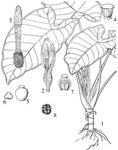 pagenumber_ebook=251,pagenumber_book=0