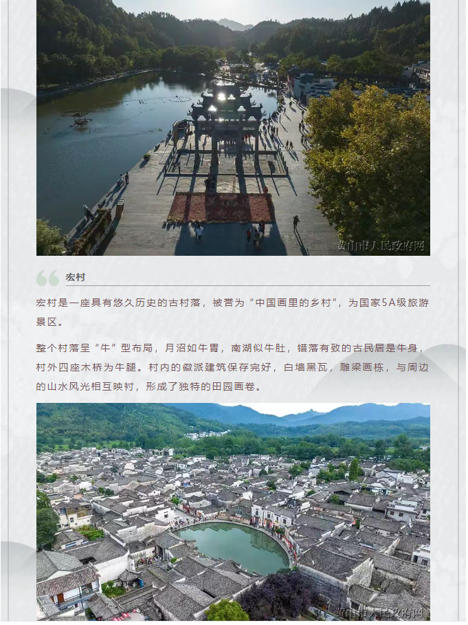 image.png?v=1751556744006