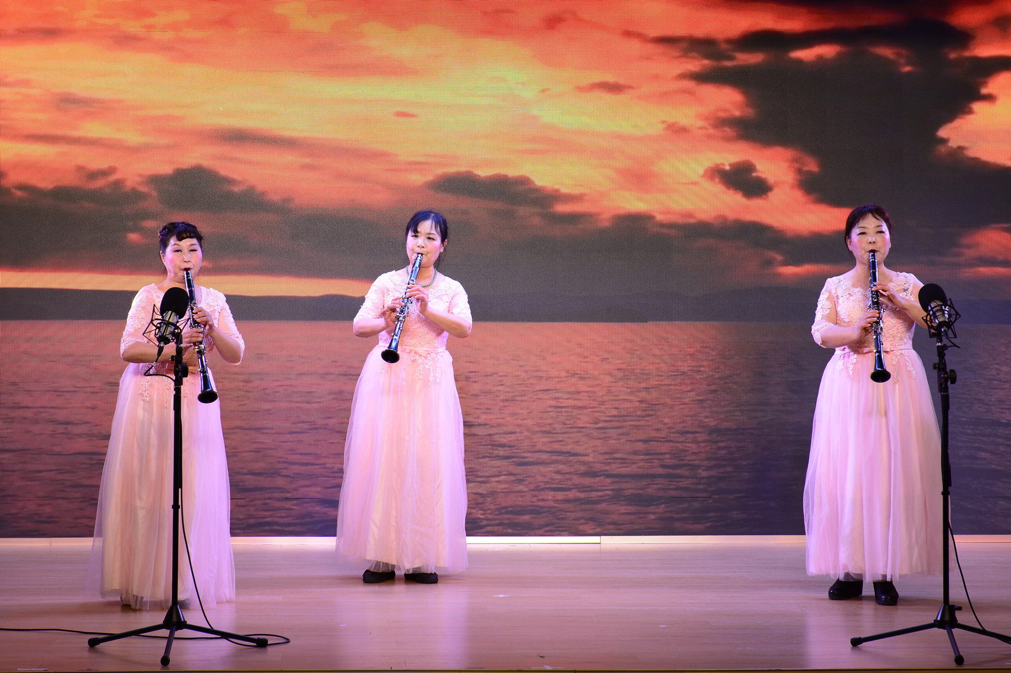 12 - 副本 12 - 副本.jpg