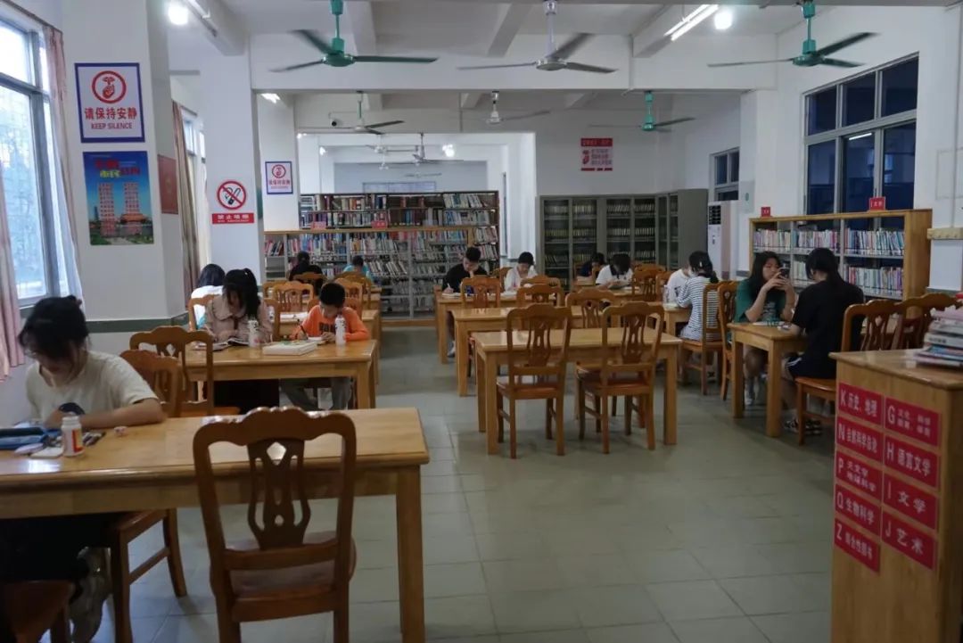 4 4.jpg?v=1765790285386