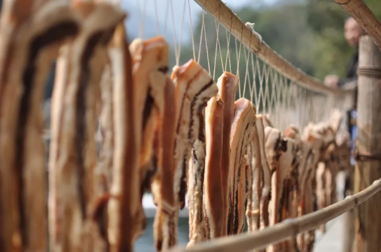 image image.png?v=1770186081515