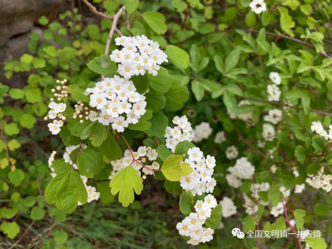 微信图片_20210506113128