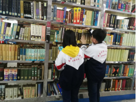 image image.png?v=1775719251201