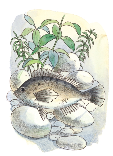 pagenumber_ebook=45,pagenumber_book=43