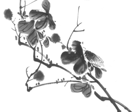 pagenumber_ebook=229,pagenumber_book=229