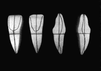 pagenumber_ebook=194,pagenumber_book=185