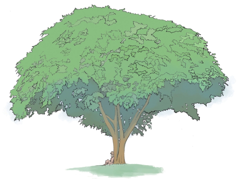 pagenumber_ebook=44,pagenumber_book=33