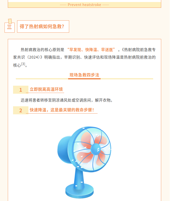 image.png?v=1786662449512
