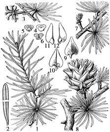 pagenumber_ebook=76,pagenumber_book=76