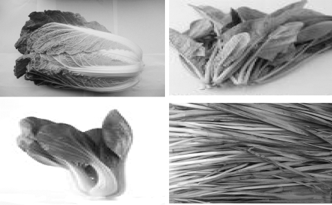 pagenumber_ebook=53,pagenumber_book=53