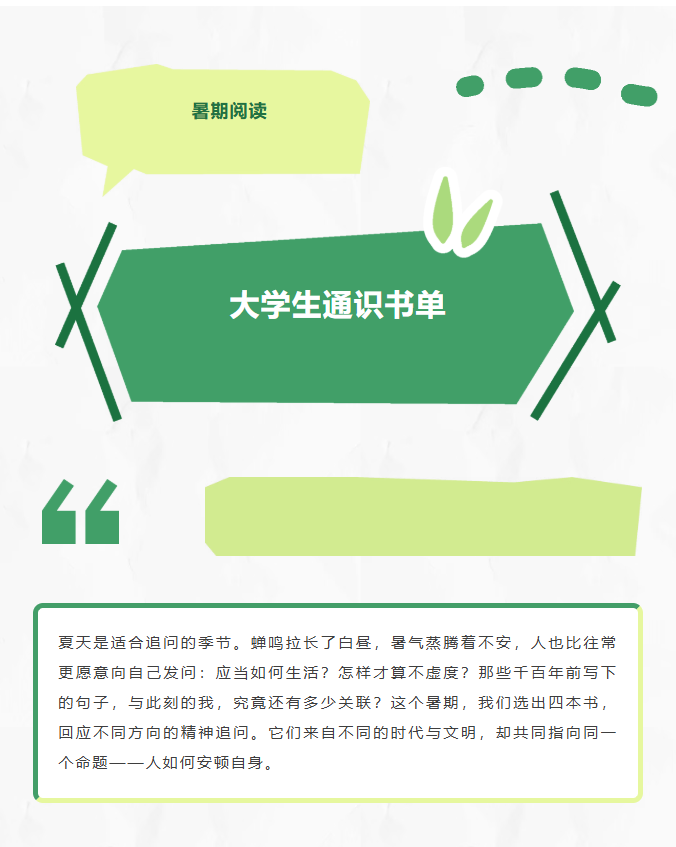 image.png?v=1786659421297