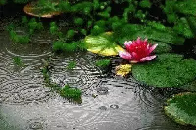 20171012203855_y2eu2pjdv1 20171012203855_y2eu2pjdv1.png?v=1787807431158