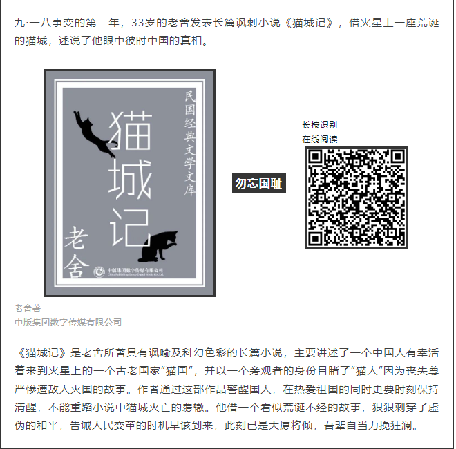 image image.png?v=1763579355239