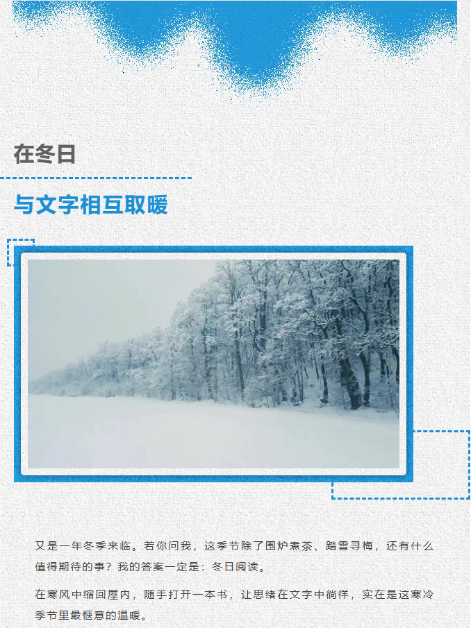 image.png?v=1766280959955