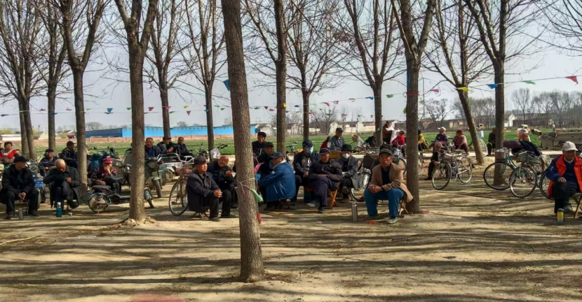 图片15png