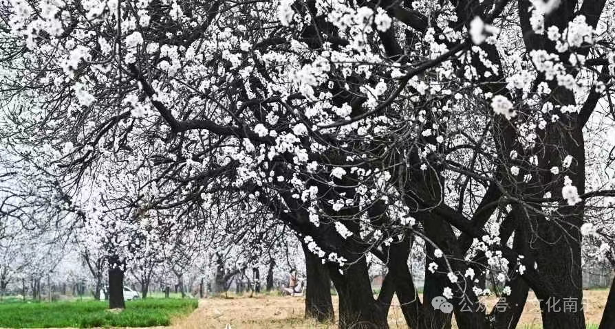 微信图片_20240717091735 微信图片_20240717091735.jpg