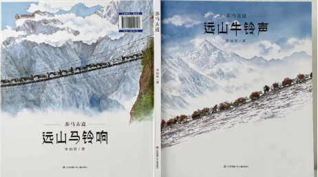 image image.png?v=1772867741611