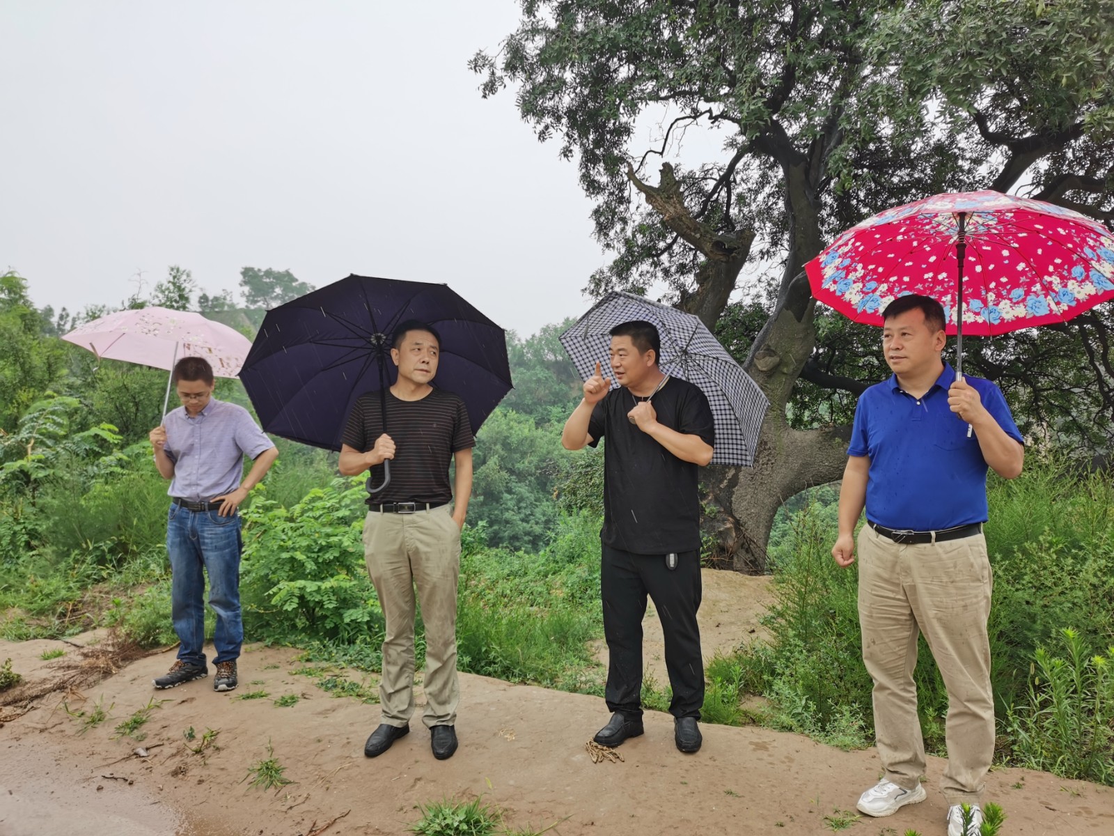 微信图片_202007130854024