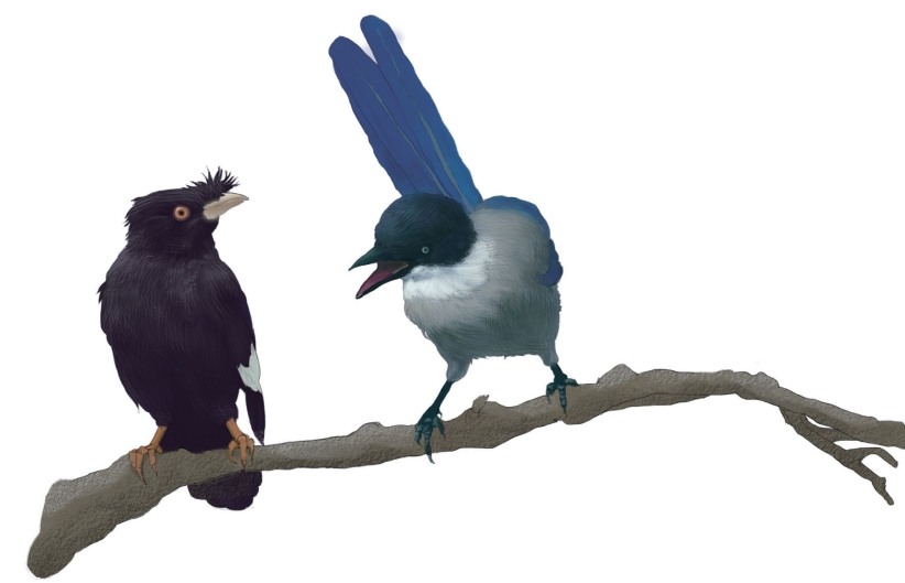 pagenumber_ebook=153,pagenumber_book=142