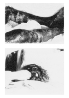 pagenumber_ebook=232,pagenumber_book=219