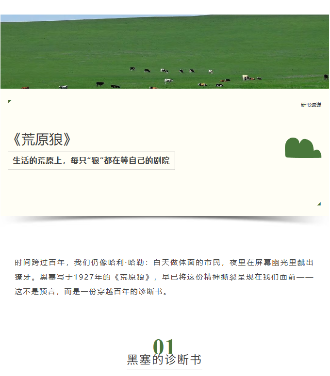 image.png?v=1762125932951