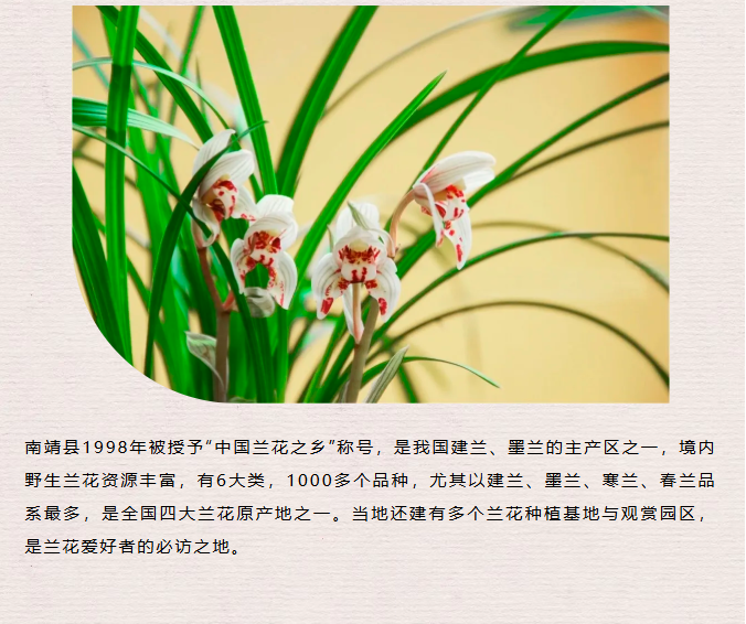 image.png?v=1762124792502