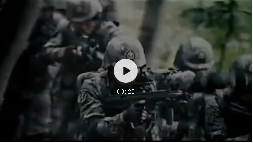 图片39 图片39.png?v=1762272620402