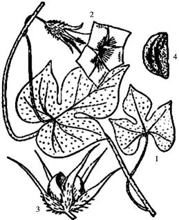 pagenumber_ebook=189,pagenumber_book=189