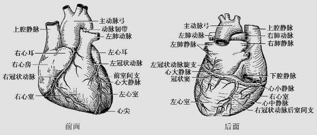 pagenumber_ebook=30,pagenumber_book=17