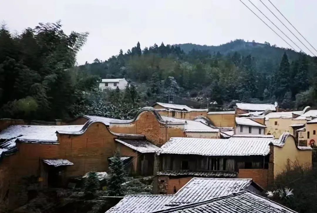 微信图片_20220225091841 微信图片_20220225091841.jpg