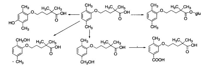 pagenumber_ebook=229,pagenumber_book=211