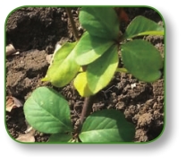 pagenumber_ebook=97,pagenumber_book=84