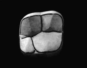 pagenumber_ebook=211,pagenumber_book=202