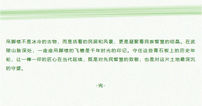 image.png?v=1787523514407