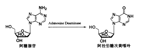 pagenumber_ebook=300,pagenumber_book=282