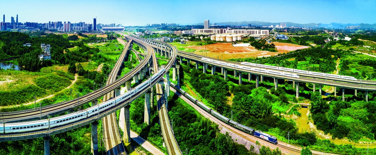 图片19 图片19.png?v=1763162774947