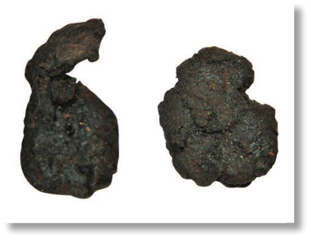 pagenumber_ebook=275,pagenumber_book=262