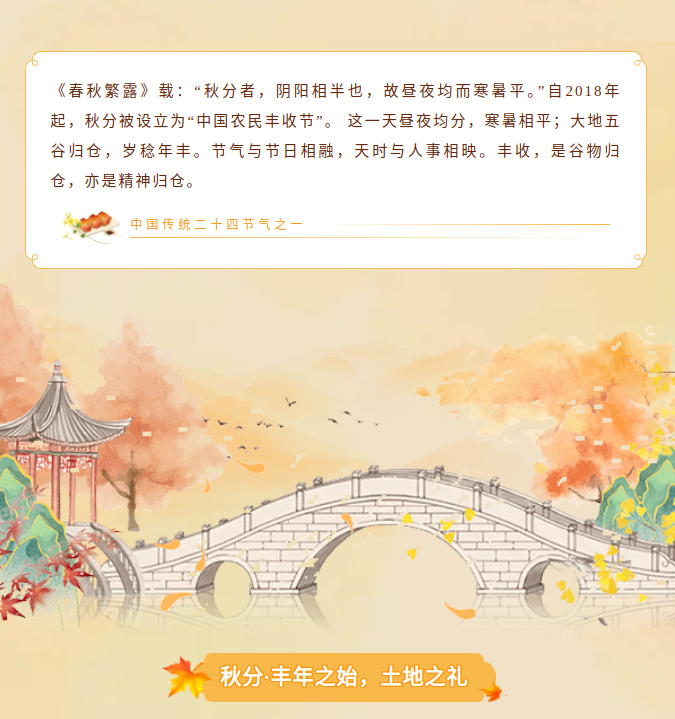 image.png?v=1790294193330
