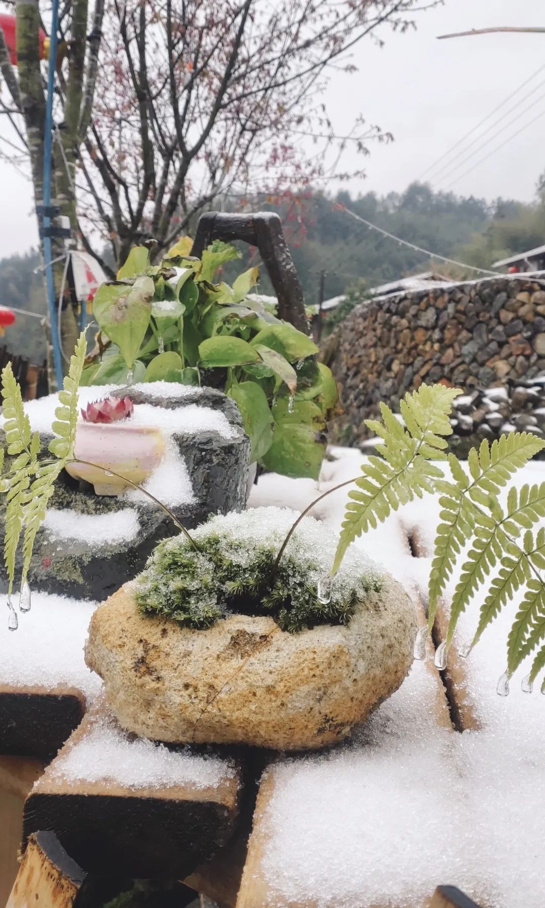 微信图片_20220225091941 微信图片_20220225091941.jpg