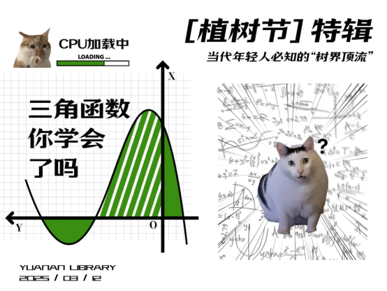 image.png?v=1757808528022
