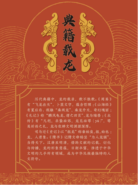 image image.png?v=1763879884002