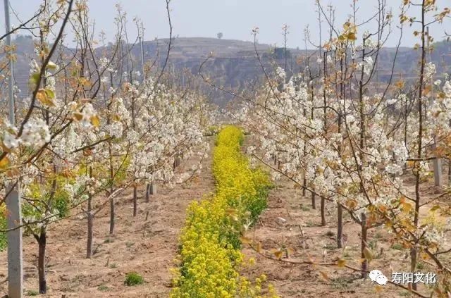 640 (11) 640 (11).jpg