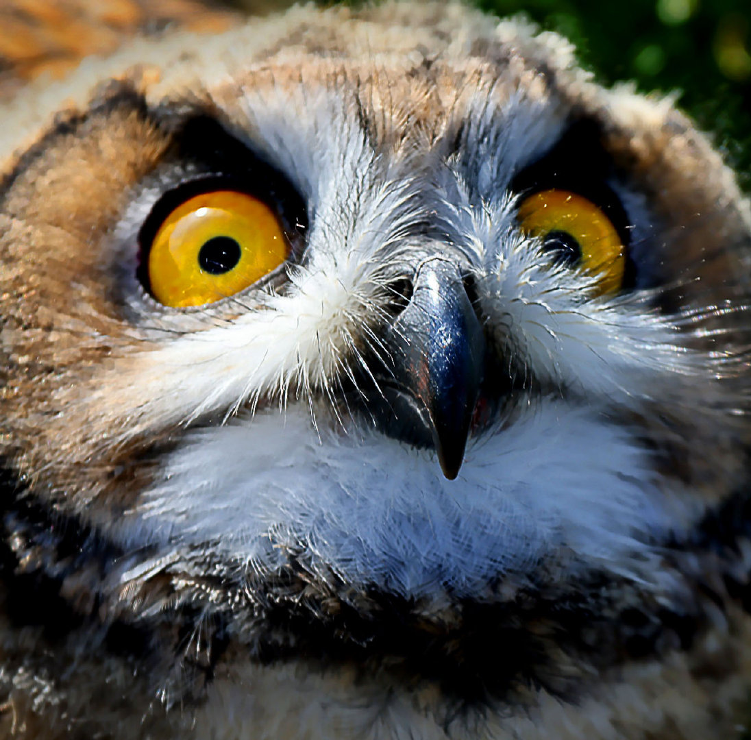 007dll2Jly4h6owdjpumyj30ug0u0jxv