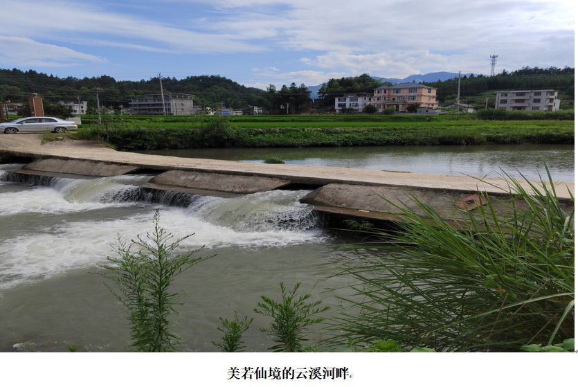 1732348952540 1732348952540.png