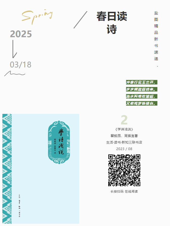 image image.png?v=1763544024785