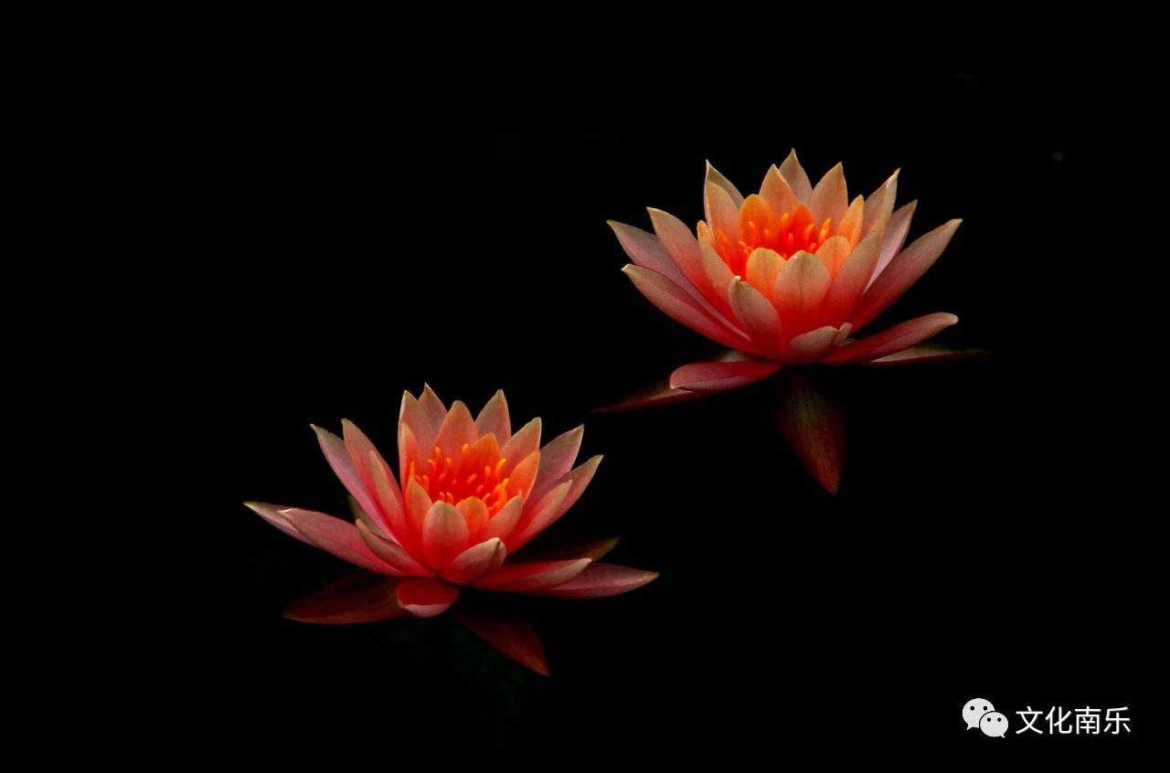 c7061b6c8380379e9ec7d4d7cd35fc46 c7061b6c8380379e9ec7d4d7cd35fc46.jpg