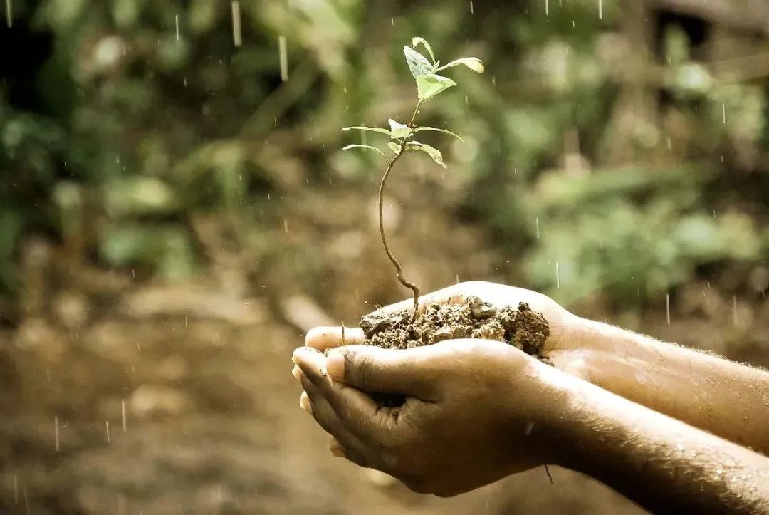 fd38d48e32b33f14b786aa22f97da3e4 fd38d48e32b33f14b786aa22f97da3e4.jpg