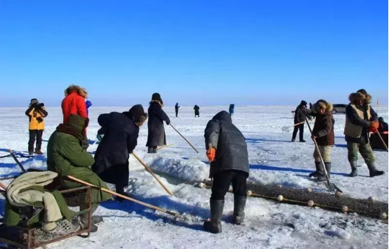 image image.png?v=1770186452804