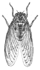 pagenumber_ebook=85,pagenumber_book=69