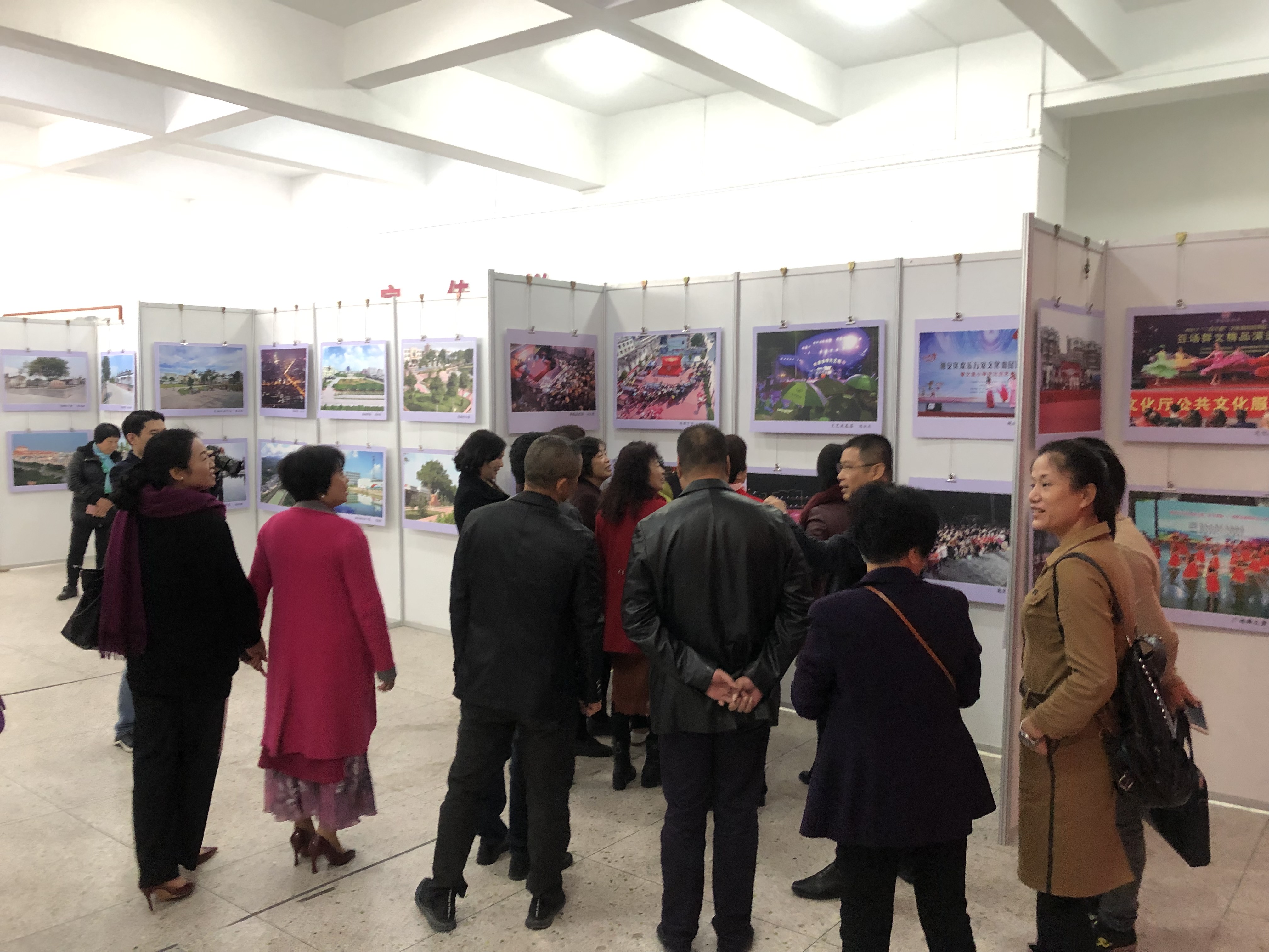 IMG_9442 IMG_9442.jpg?v=1762673590934